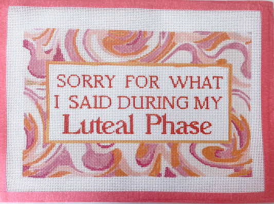 PRE ORDER- 4 weeks sorry for what I said feminist Hand Painted Needlepoint Canvas